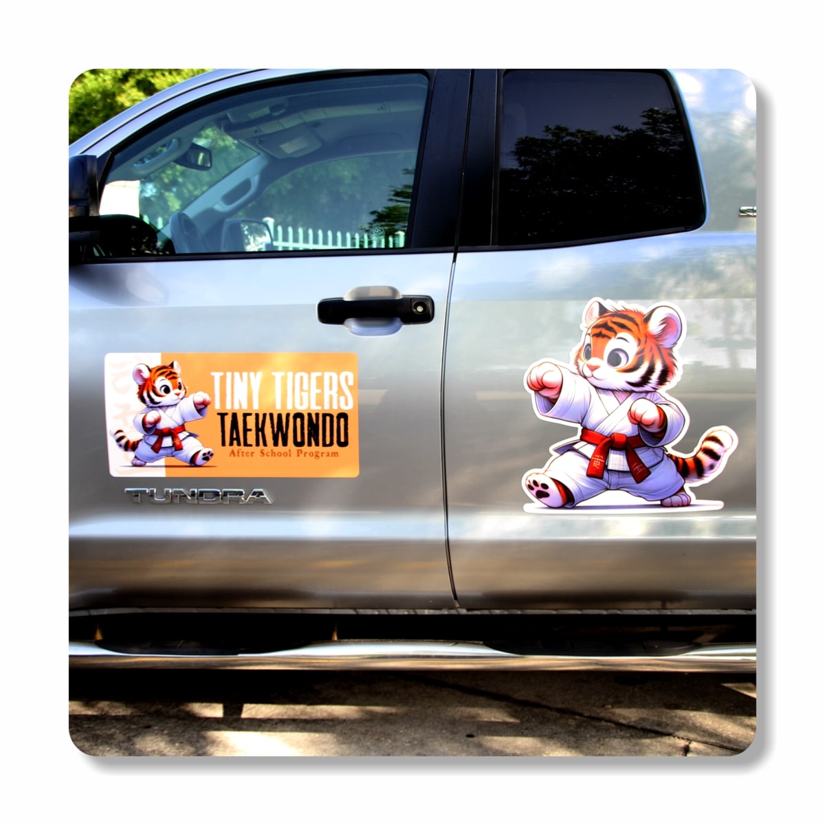 CAR DOOR MAGNET SET - LARGE - Image 4