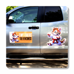 Magnets (2 pack) - 2