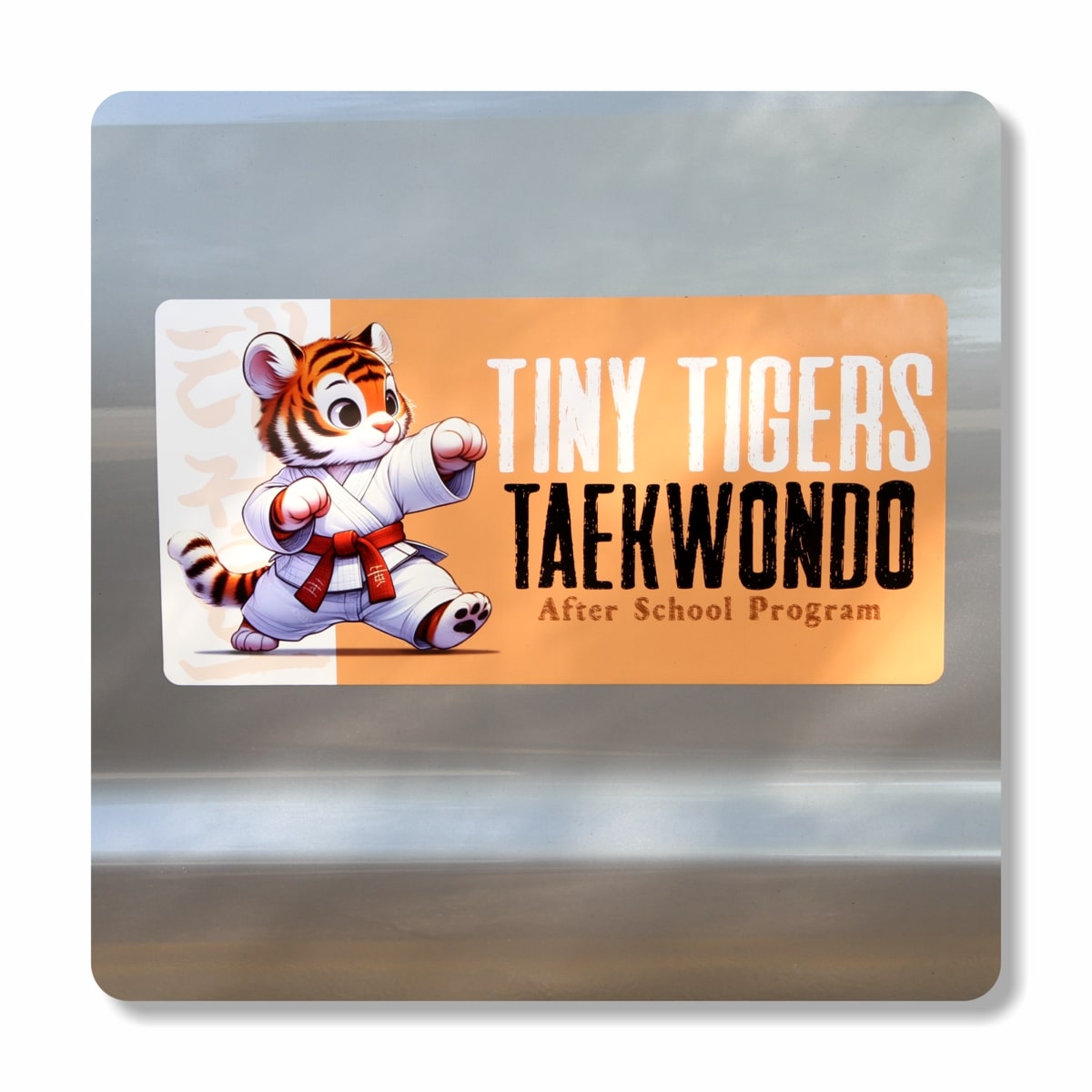 CAR DOOR MAGNET SET - LARGE - Image 5